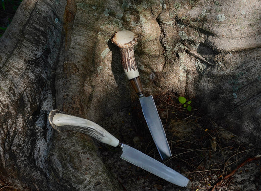Rosette Stag Horn 20 cm