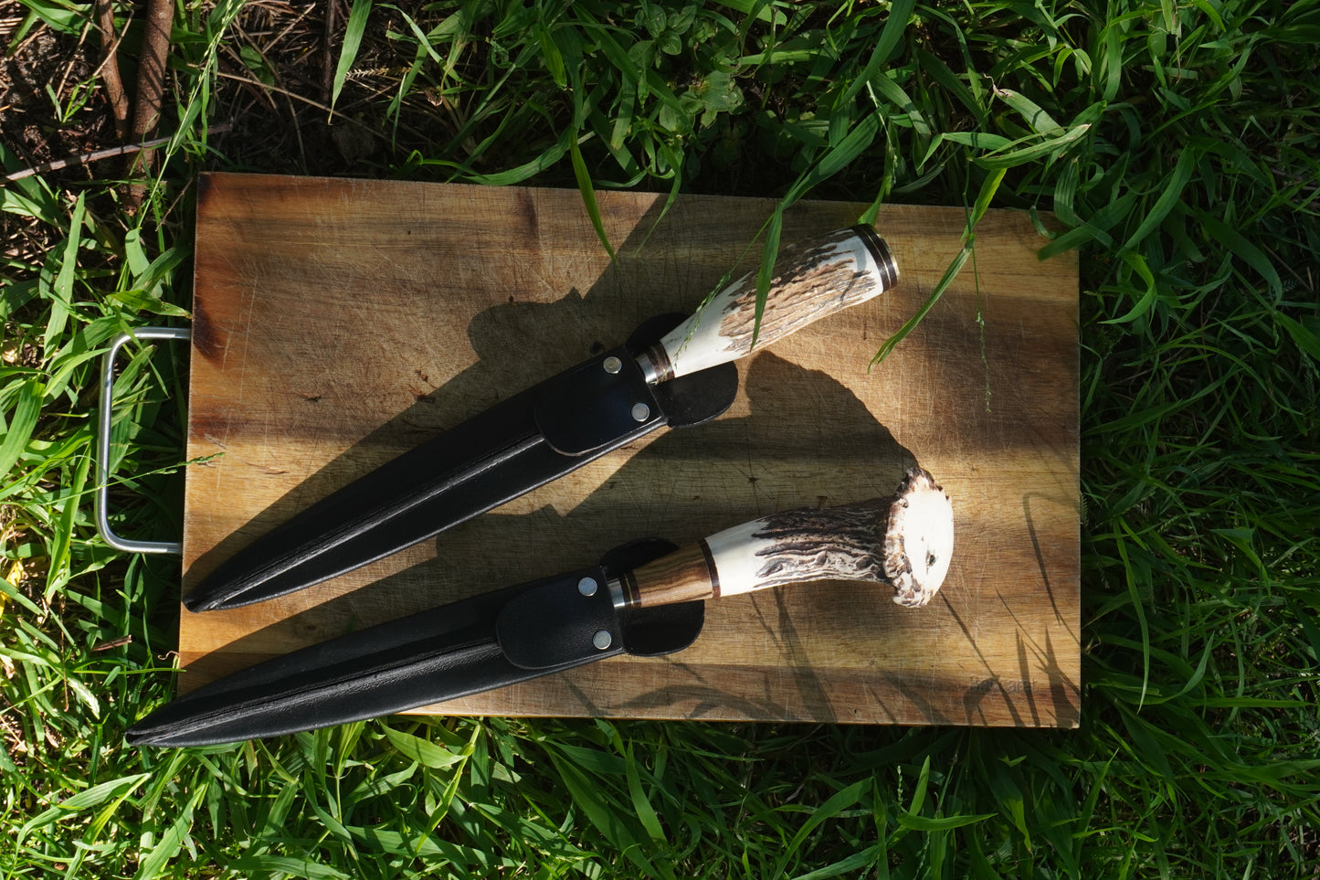 Rosette Stag Horn 20 cm