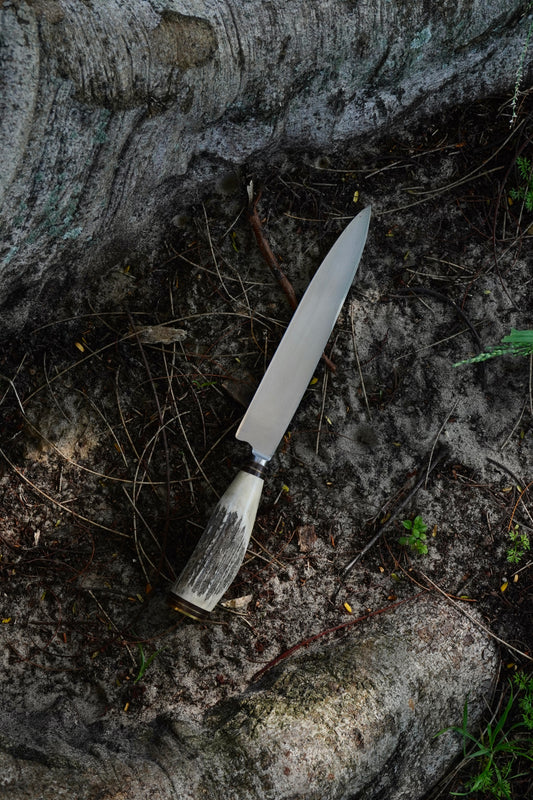 Stag Horn 20cm