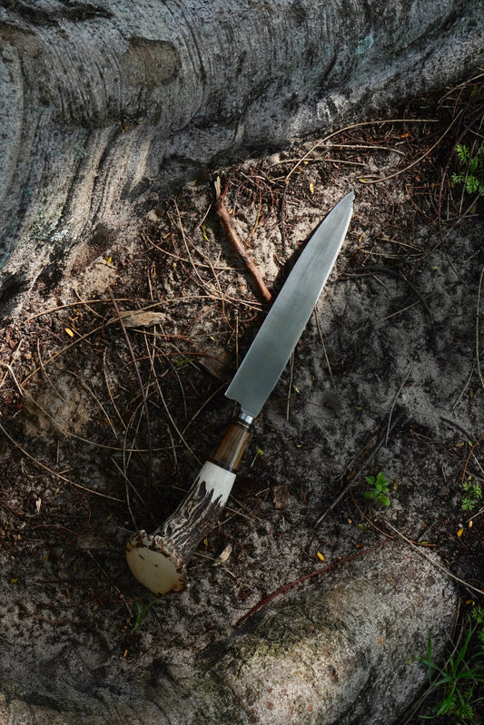 Rosette Stag Horn 20 cm